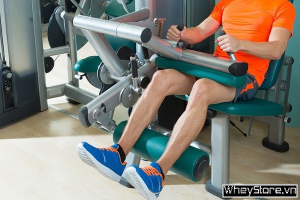 12 bài tập chân mông tăng cơ thân dưới cực nhanh cho gymer - Ảnh 4