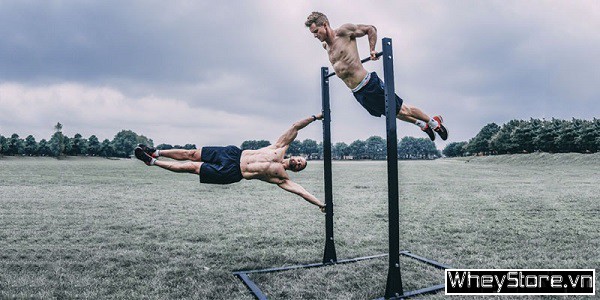 Calisthenics là gì? 7 bài tập Calisthenics cho người mới bắt đầu - Ảnh 1