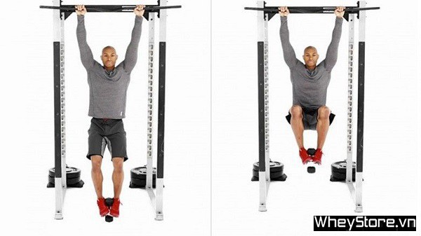 Calisthenics là gì? 7 bài tập Calisthenics cho người mới bắt đầu - Ảnh 6