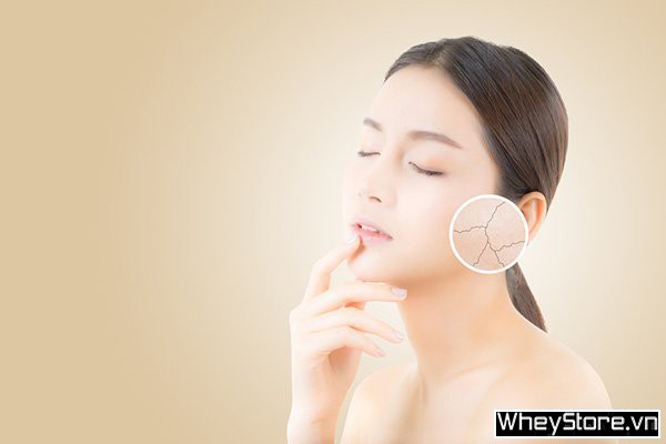 Uống trà xanh có tác dụng gì cho sức khỏe? Cách uống trà xanh hiệu quả - Ảnh 1