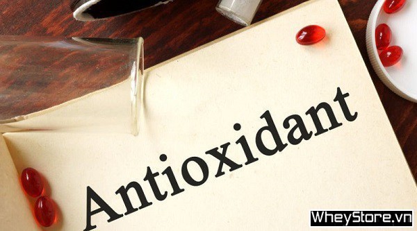 Astaxanthin là gì? 7 lợi ích của Astaxanthin đối với sức khỏe - Ảnh 2