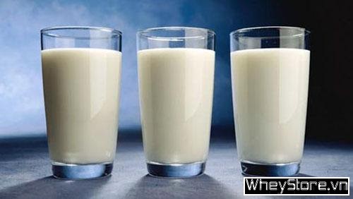So sánh whey protein và sữa bột tách kem - Ảnh 1