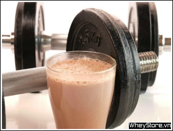 So sánh whey protein và sữa bột tách kem - Ảnh 2