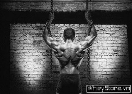 Ectomorphs có nên uống sữa whey protein - Ảnh 1