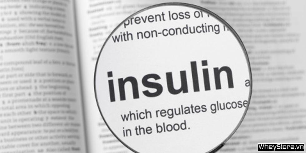 Tìm hiểu về Insulin - P2 - Ảnh 1