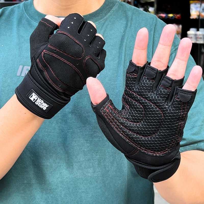 (Hình ảnh chỉ mang tính chất tham khảo)