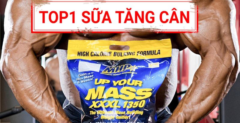 Up Your Mass XXXL 1350 - Top 1 sữa tăng cân