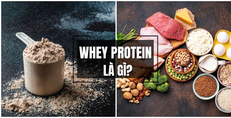 whey protein là gì?