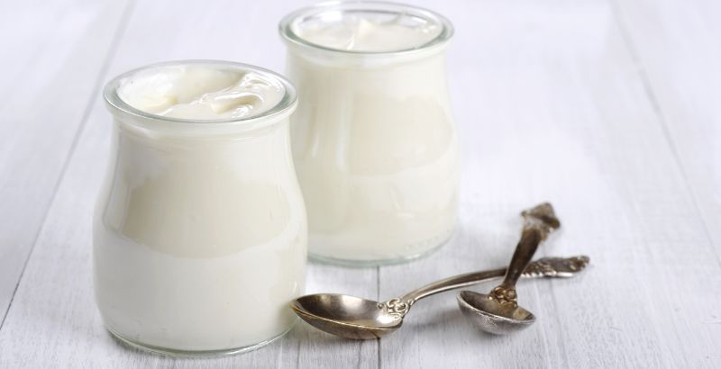 Sữa chua giàu chất béo, men vi sinh, canxi và protein