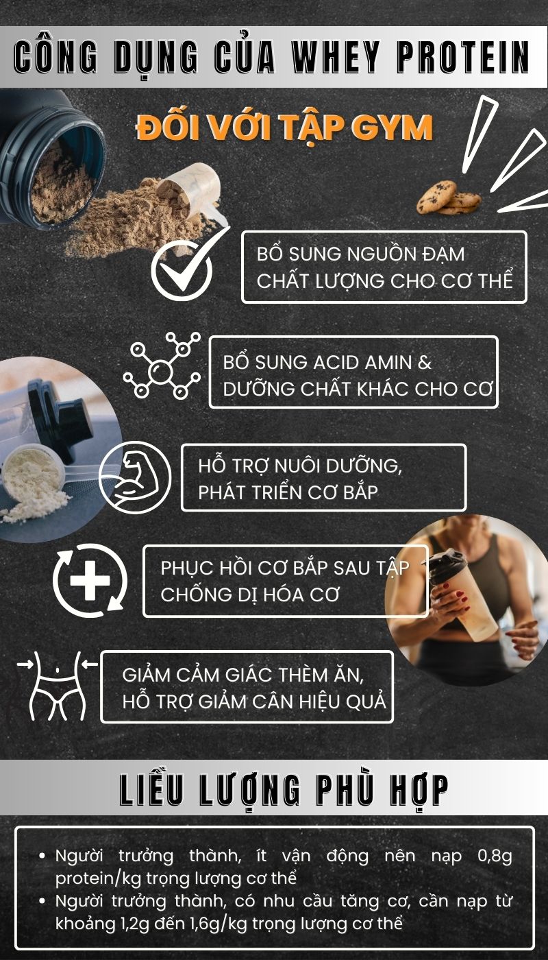 Tác dụng của Whey Protein đối với tập gym