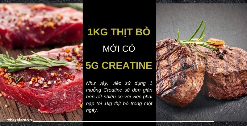 Nên dùng whey hay creatine