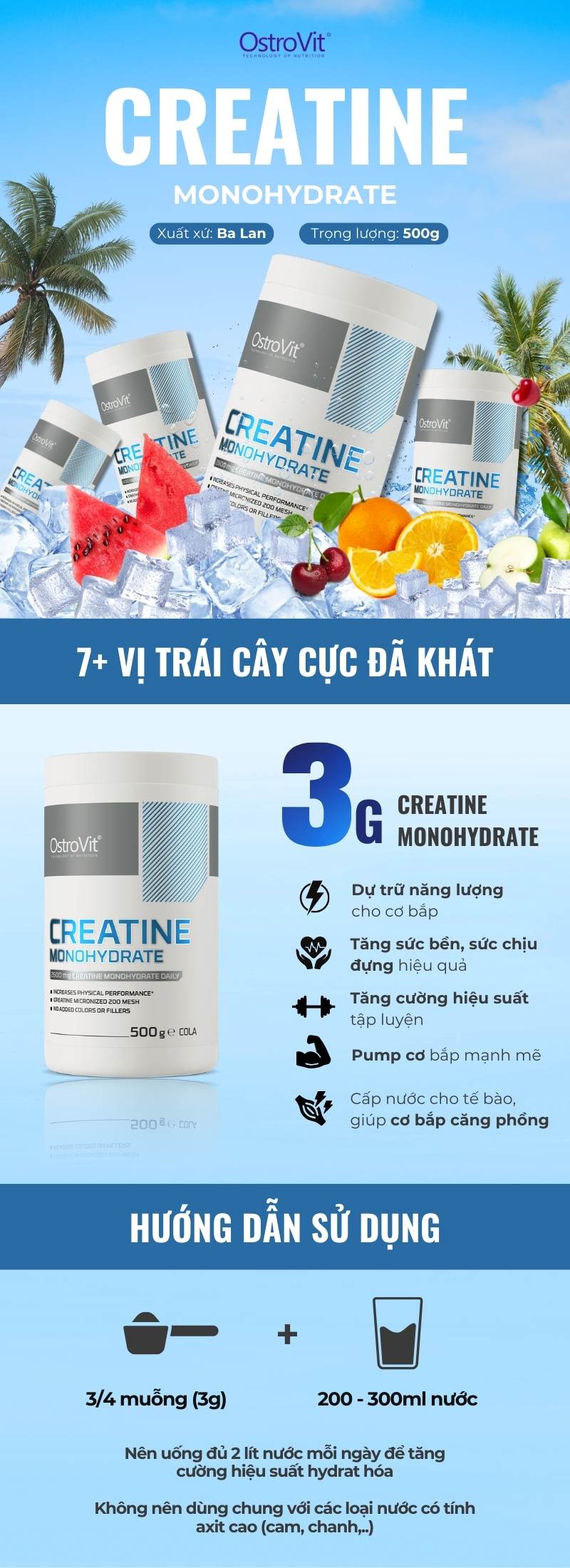 inforgraphic ostrovit creatine monohydrate 500g