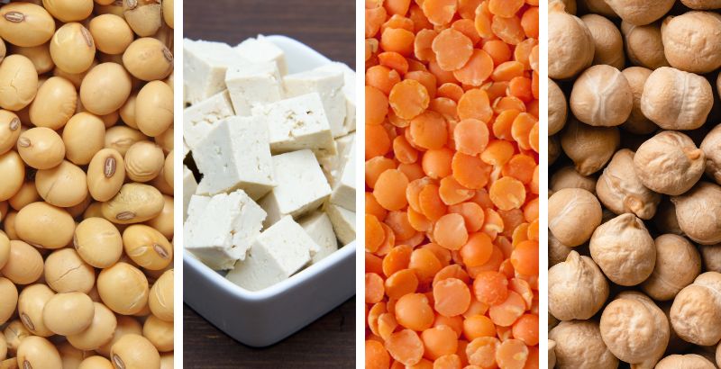 Đậu nành, đậu phụ, đậu lăng, đậu gà là nguồn protein thực vật dồi dào