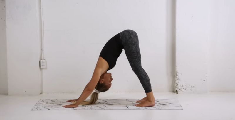bài tập giãn cơ lưng Downward Facing Dog Pose