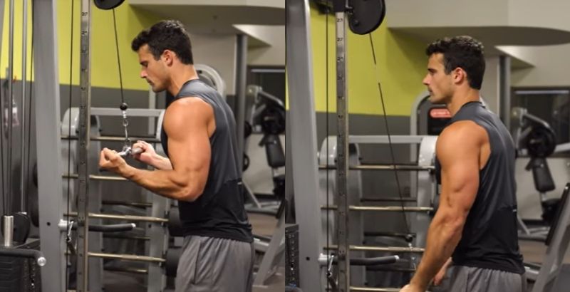 Tư thế bài tập Reverse Grip Tricep Pushdown (Kéo cáp ngược tay)