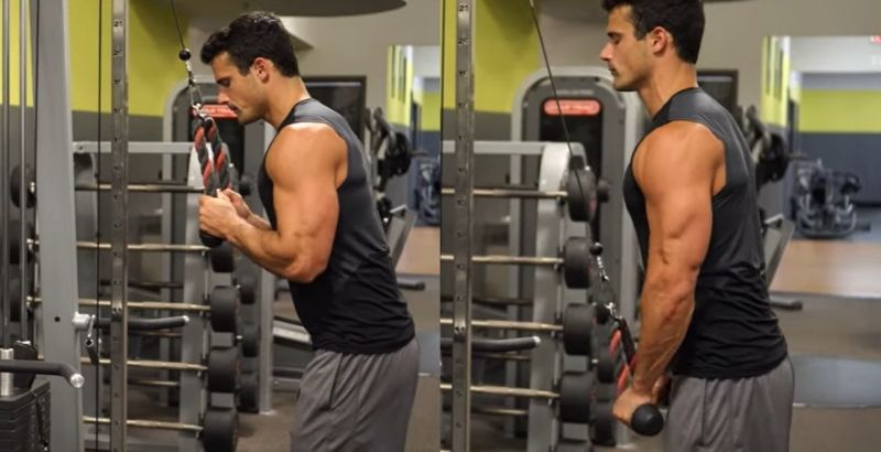Tư thế bài tập Cable Rope Tricep Pushdown (Kéo cáp với dây thừng)