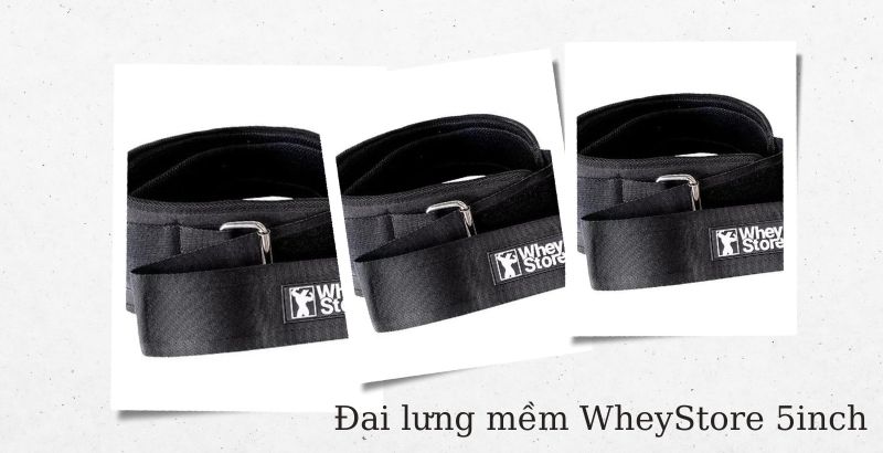 dai-lung-wheystore