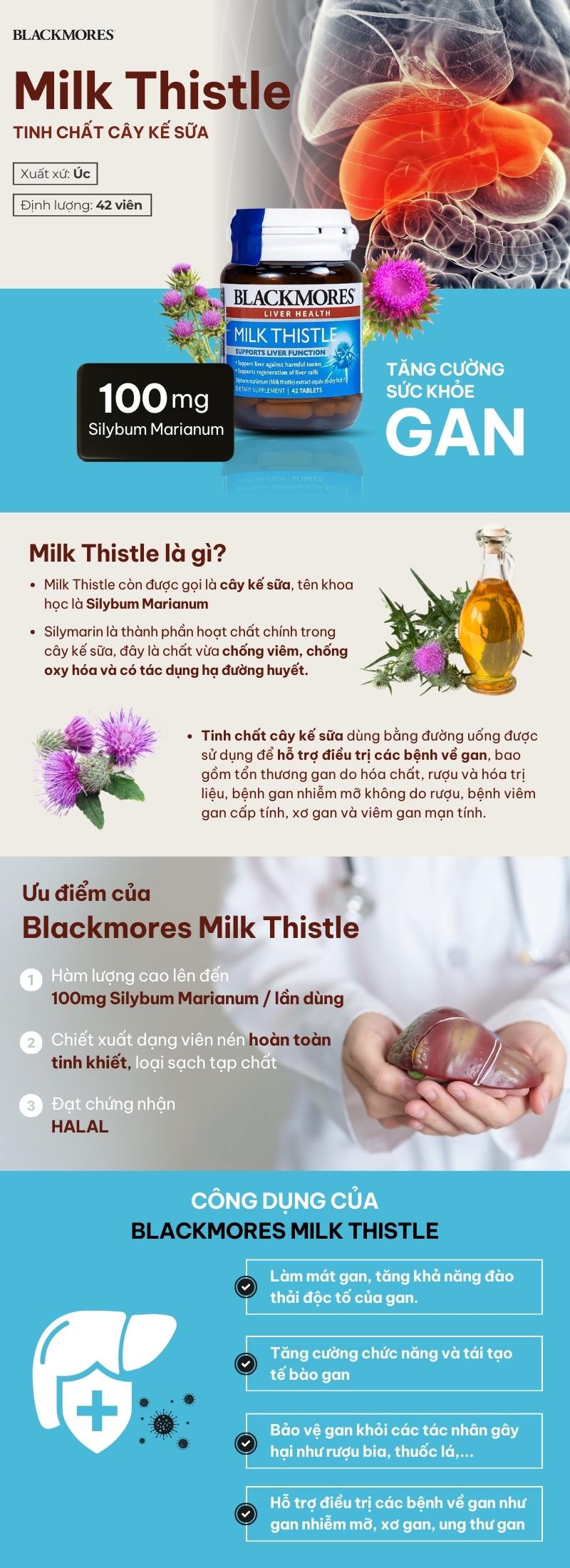 infographic blackmores milk thistle