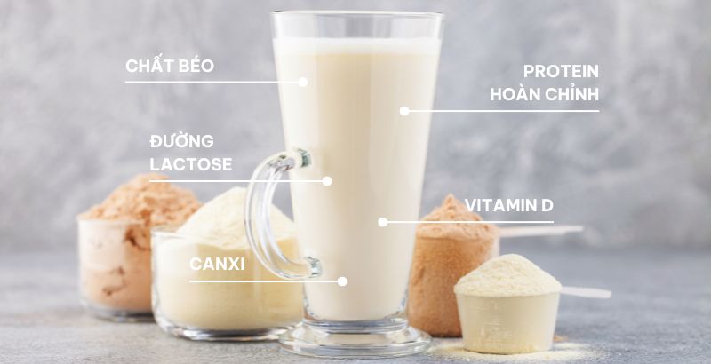 sữa nào có đạm whey