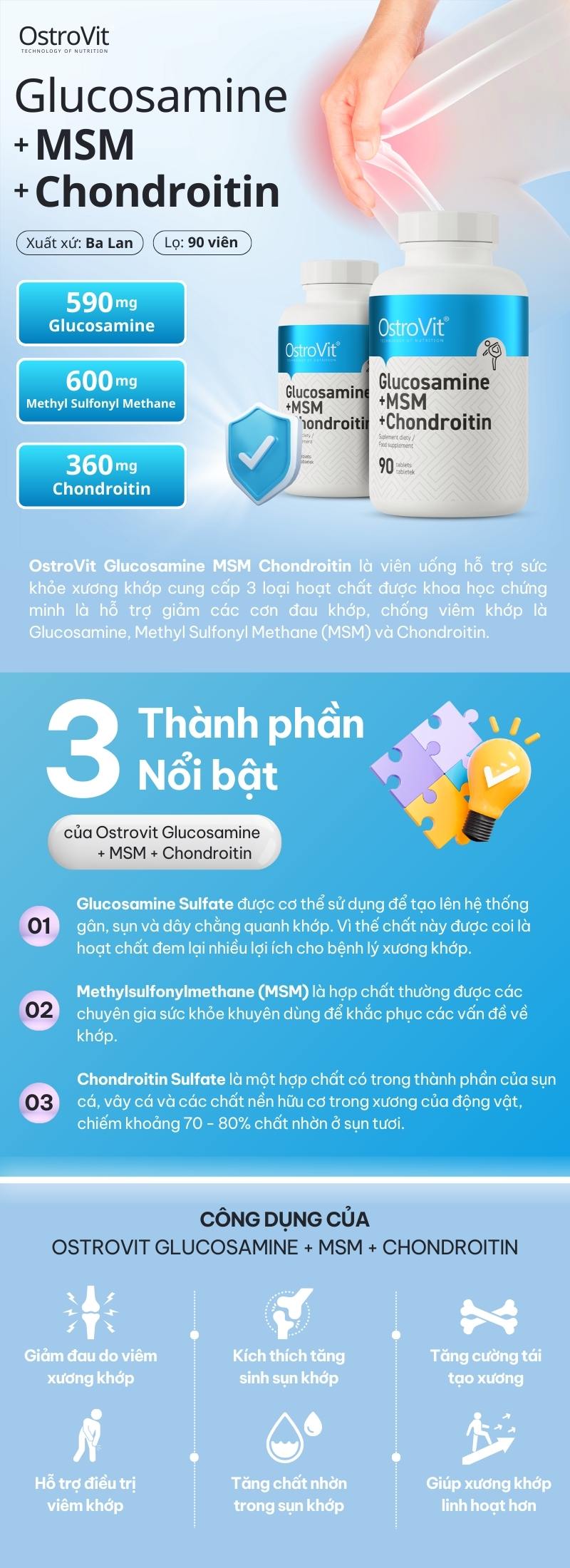 infographic ostrovit glucosamine + msm + chondroitin 90 viên