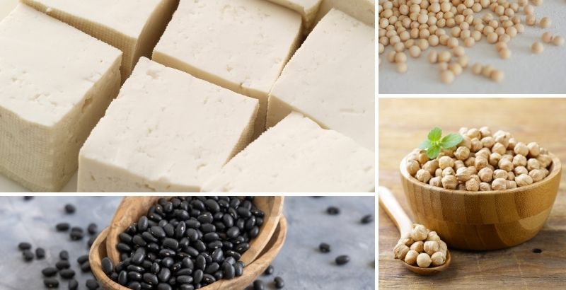 protein có phải là đạm không