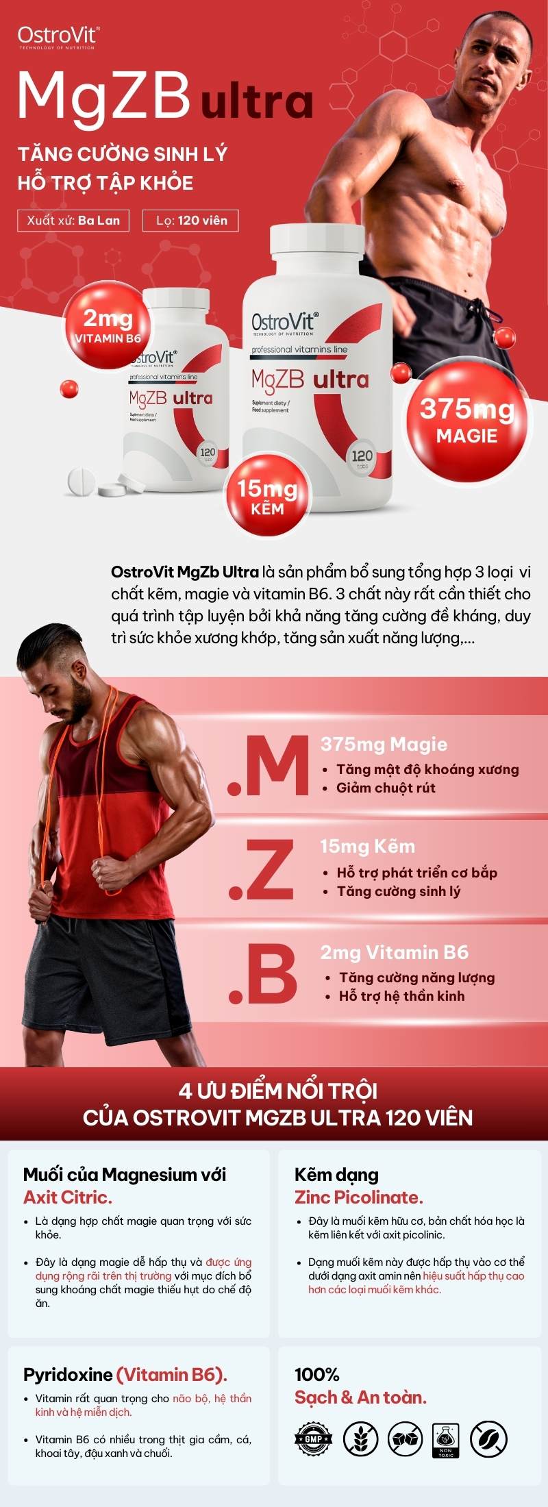 infographic ostrovit mgzb ultra 120 viên