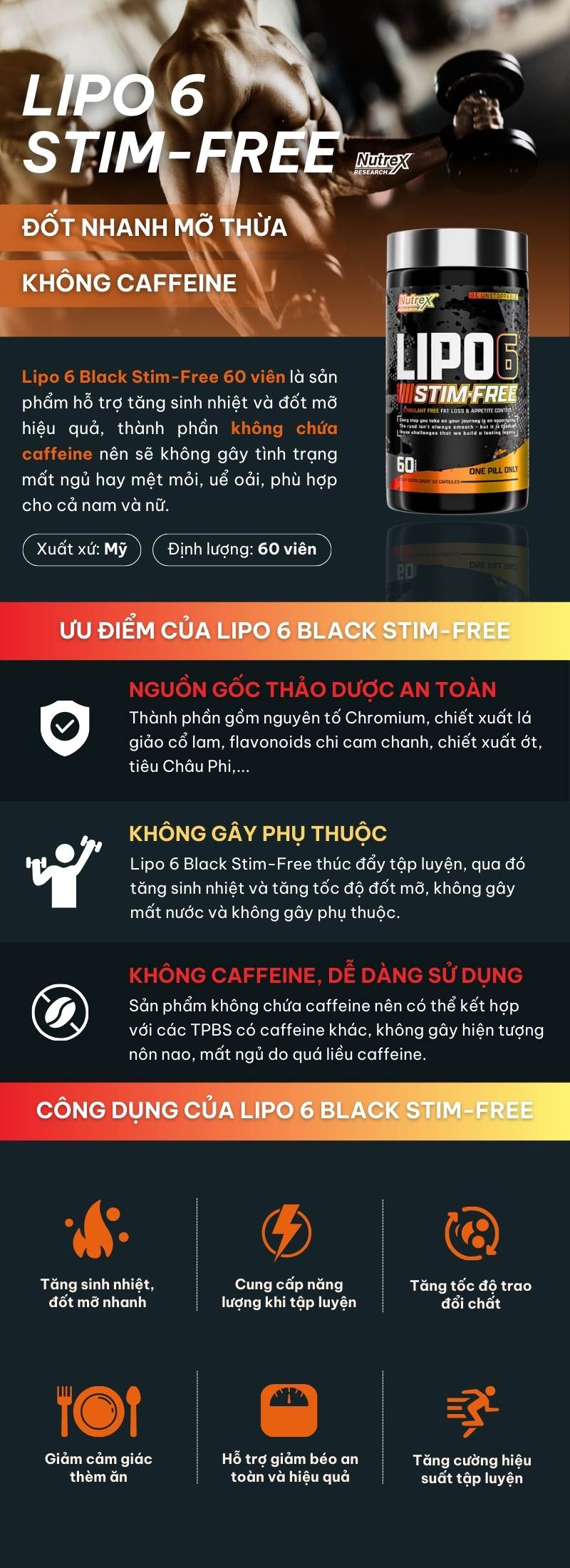 infographic lipo 6 black stim-free 60 viên