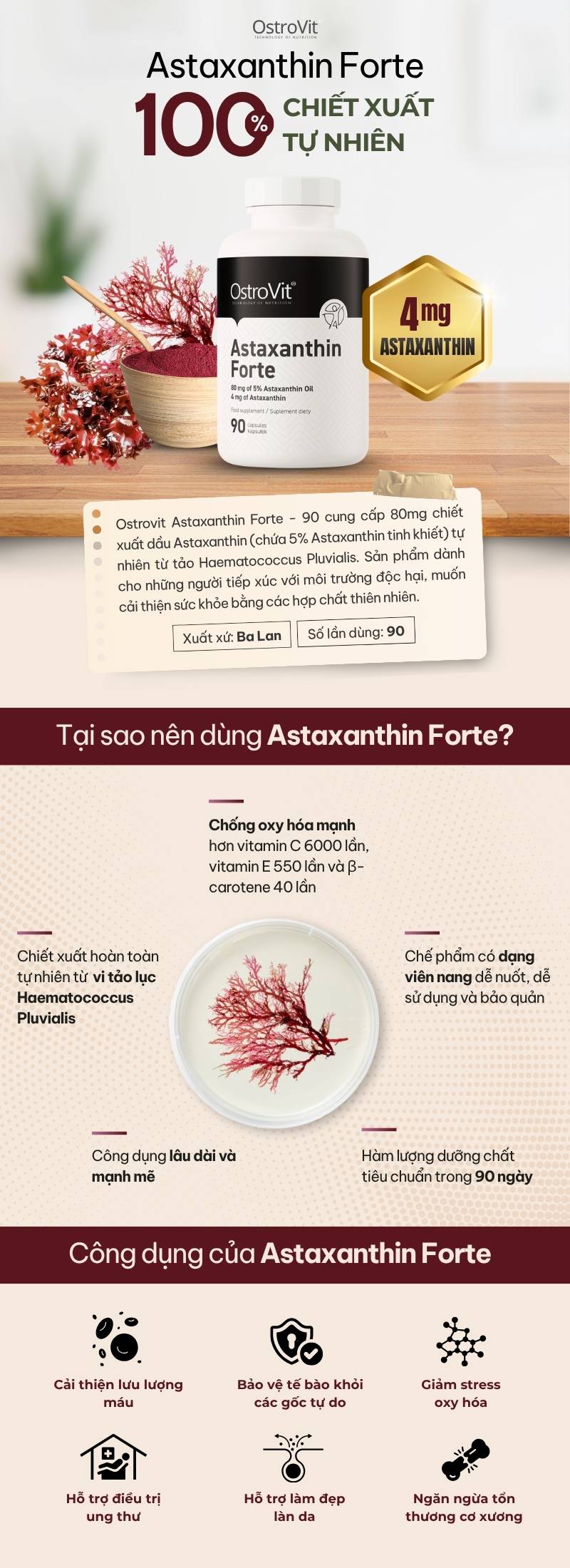 infographic ostrovit astaxanthin forte 90 viên