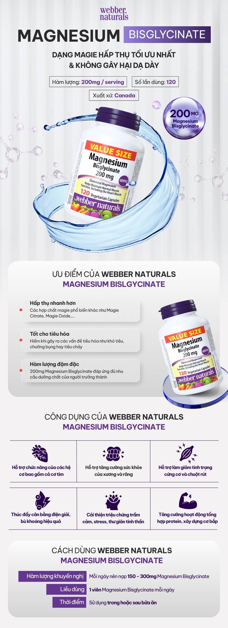 infographic webber naturals magnesium bisglycinate 200mg