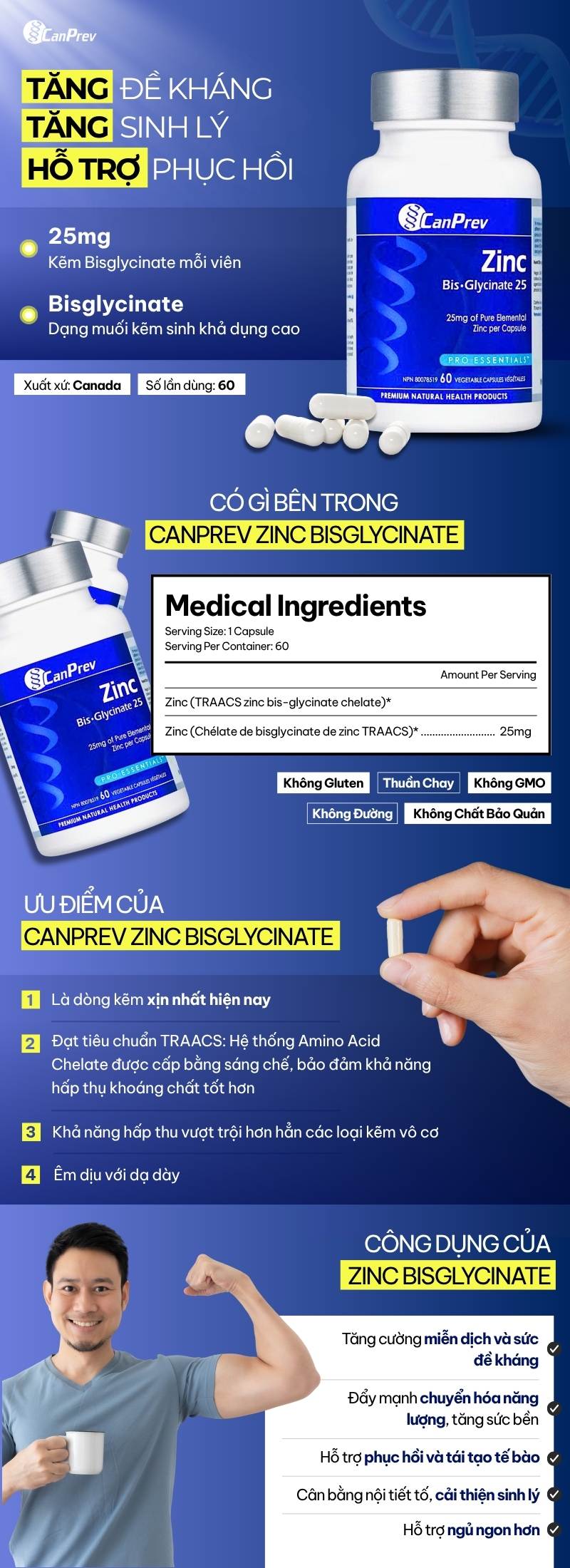 infographic canprev zinc bisglycinate 60 viên