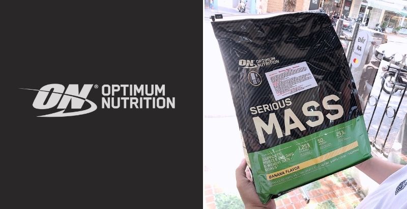 top 10 mass gainer brands in world