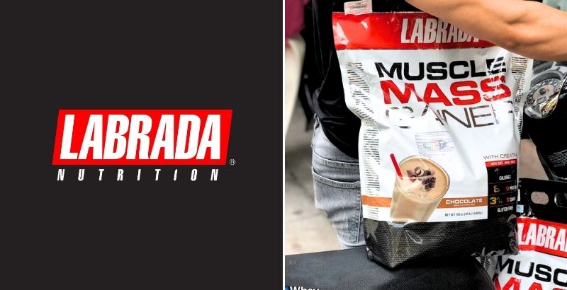 top 10 mass gainer brands in world