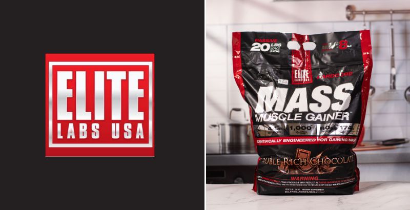 top 10 mass gainer brands in world