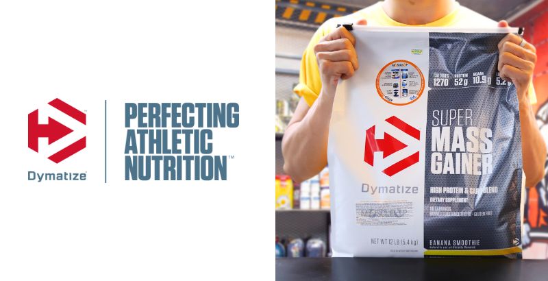 top 10 mass gainer brands in world