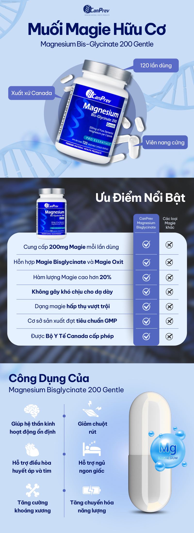 infographic canprev magnesium bisglycinate 200 gentle 120 viên