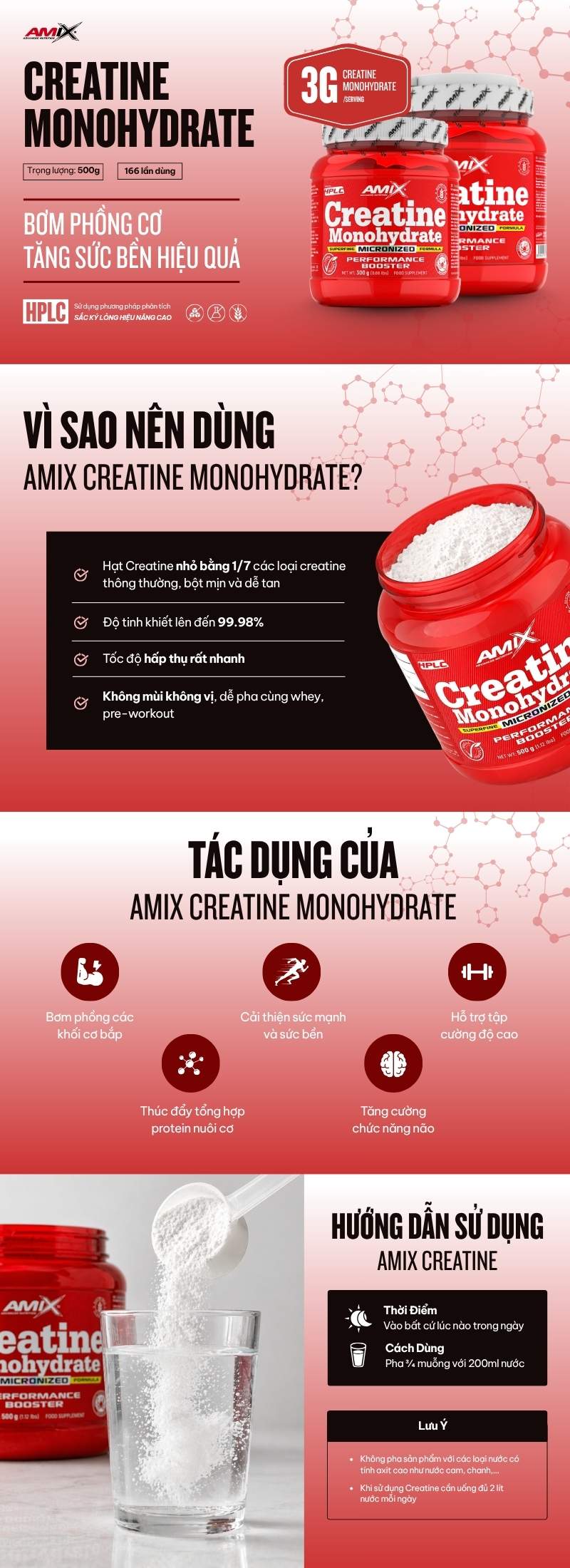 infographic amix creatine monohydrate 500g